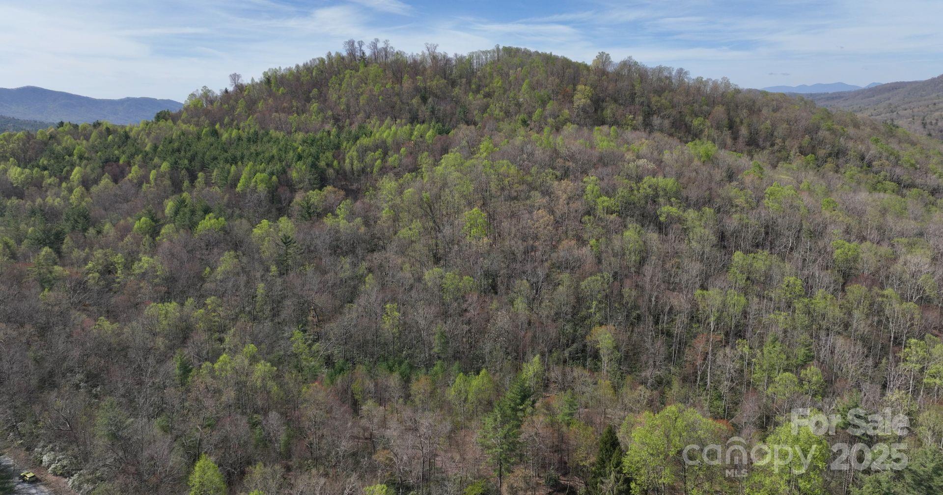 0 Gusher Knob Road