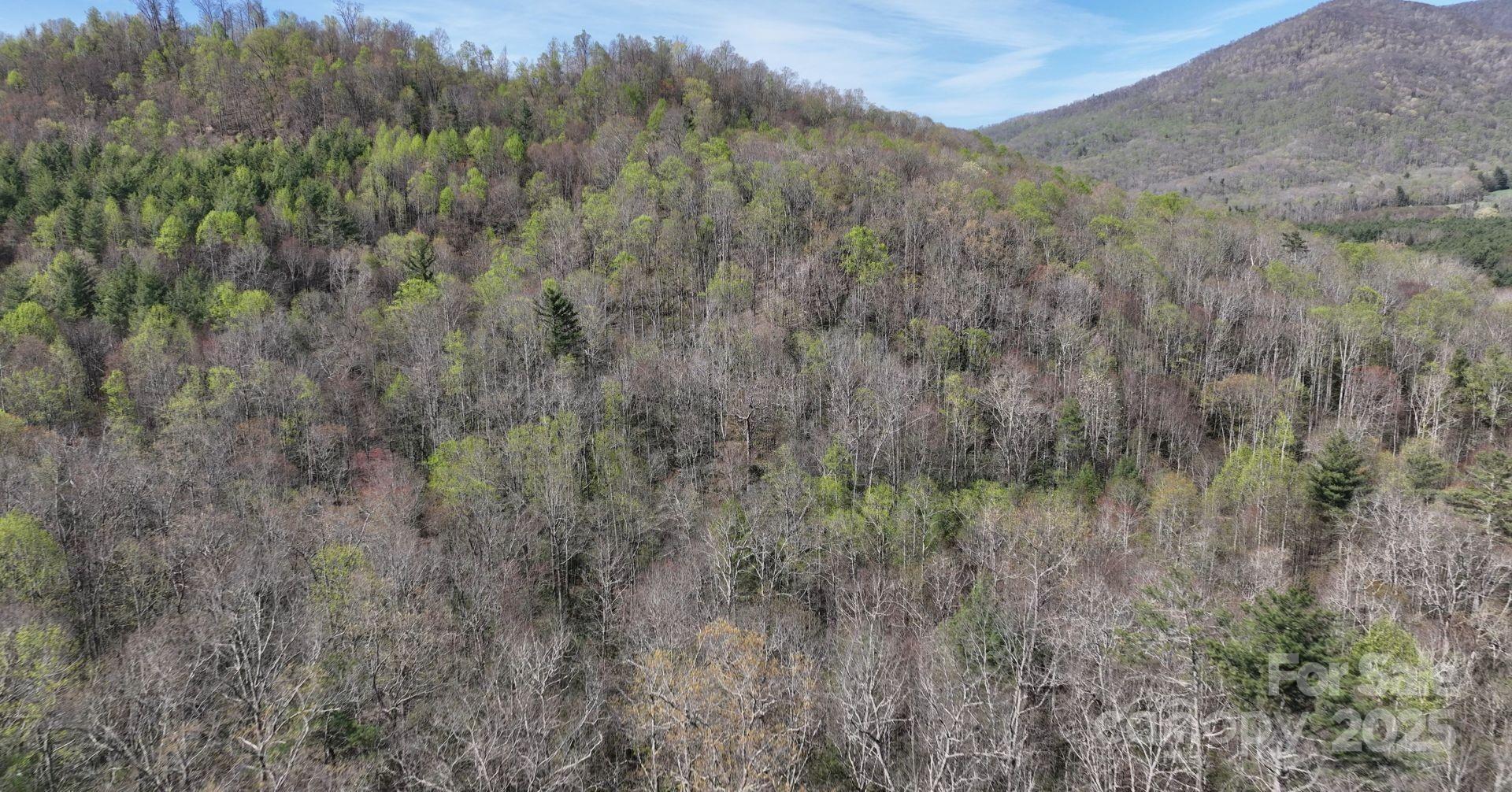 0 Gusher Knob Road