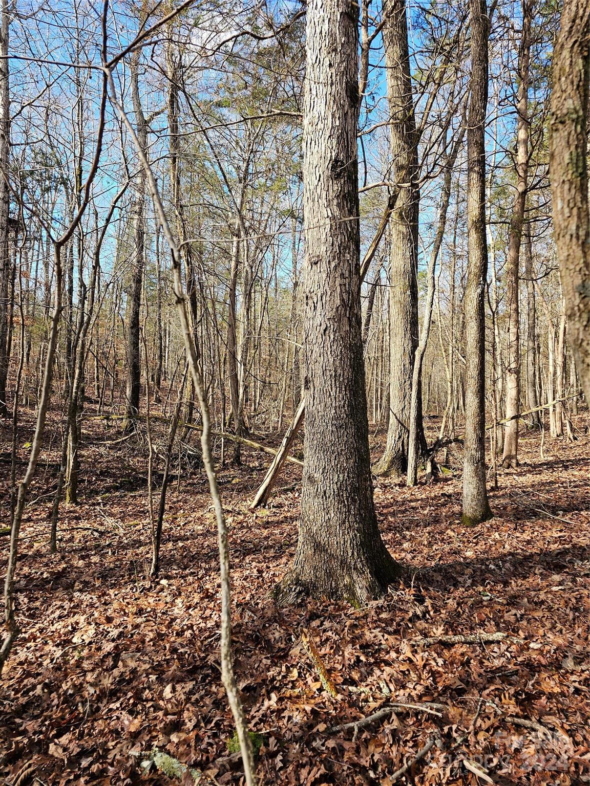 7000 John Furr Road