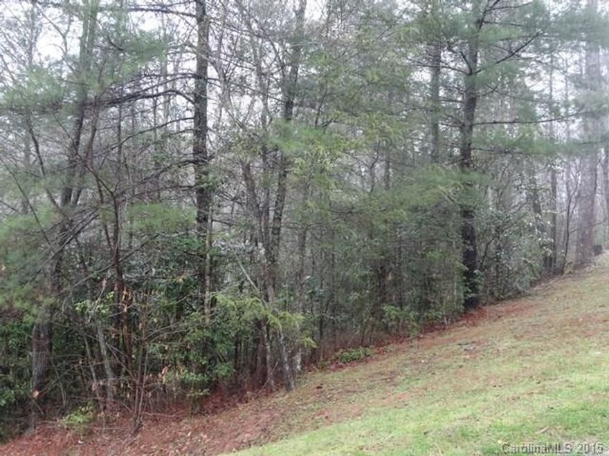 Great price on this lot located in the gated development of Mystic Forest, which is bordered on 3 sides by USFS and offers great amenities including walking/riding trails, pond pavilion with outdoor grill and fire pit and all the owners have access to the amenities of Mystic River located down on the Nantahala River including the new clubhouse. Also close to many local attractions like Nantahala Outdoor center, Fontana and Nantahala Lakes and Harrah's Cherokee Casino.