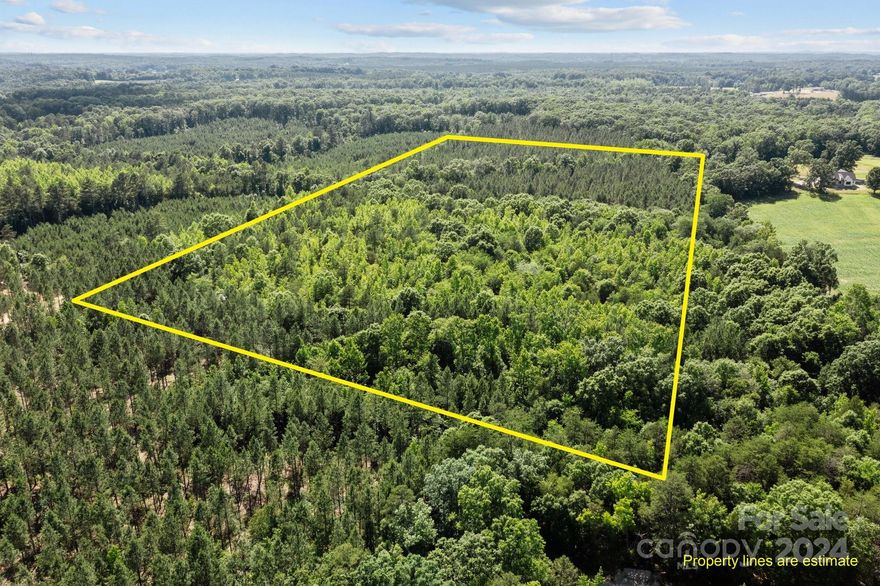 Who is looking for a large tract of Land and Privacy! This Beautiful tract of land is 14.014 wooded acres and is at the end of the development with peace and quiet. Seller has already had soil evaluations and the survey completed.