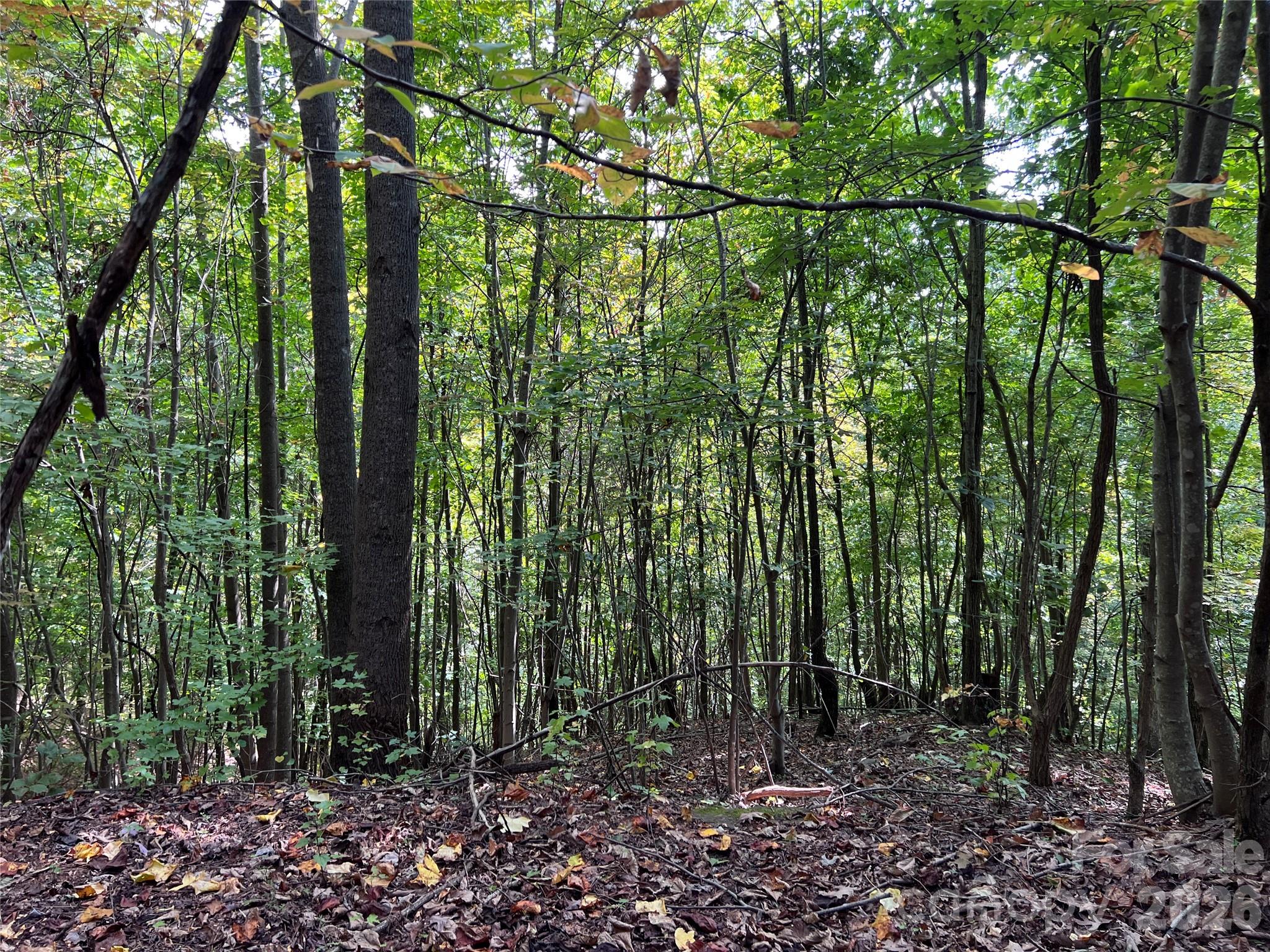 0 Old Forge Drive 94