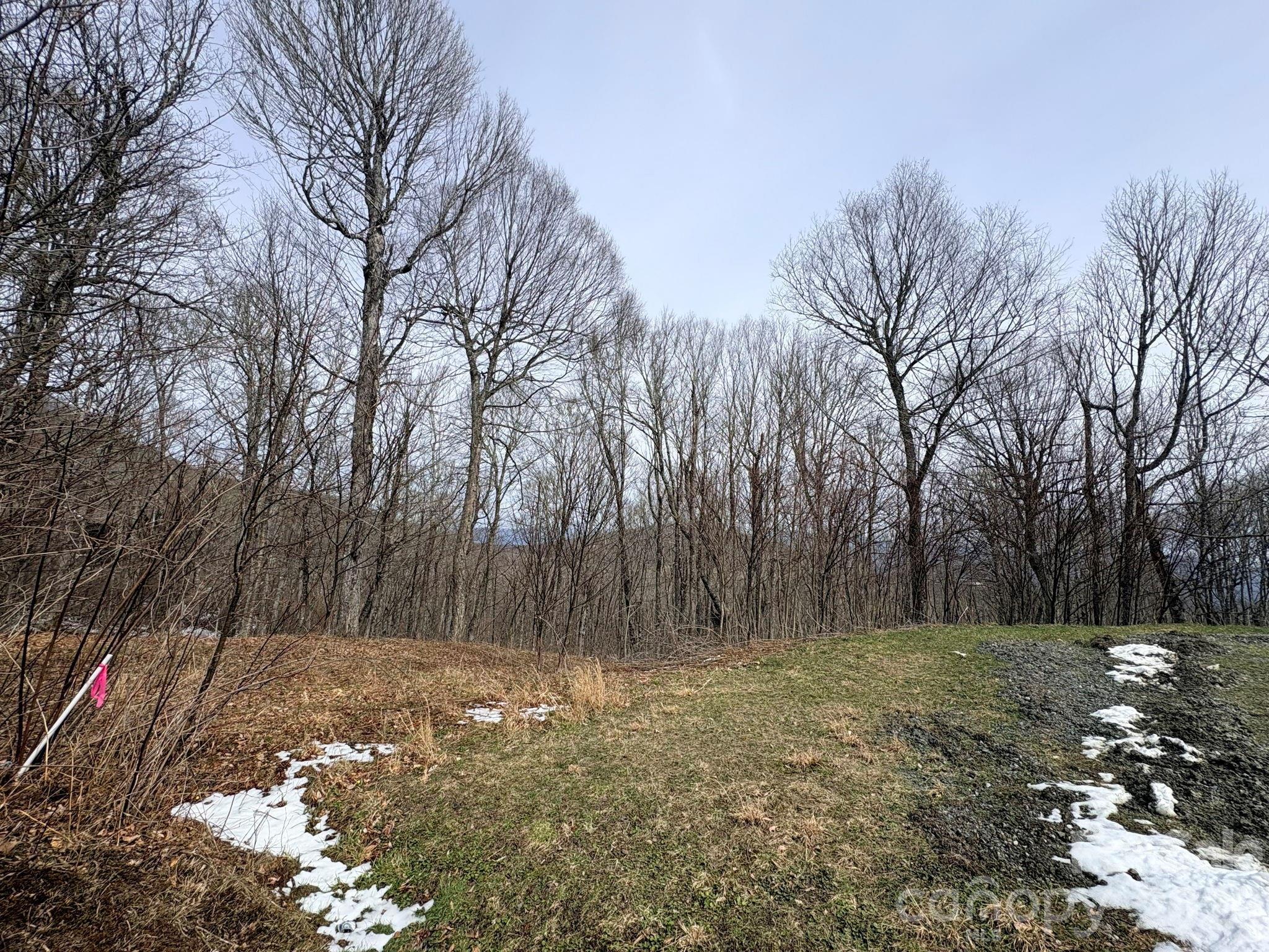 Chappell Farms - Land