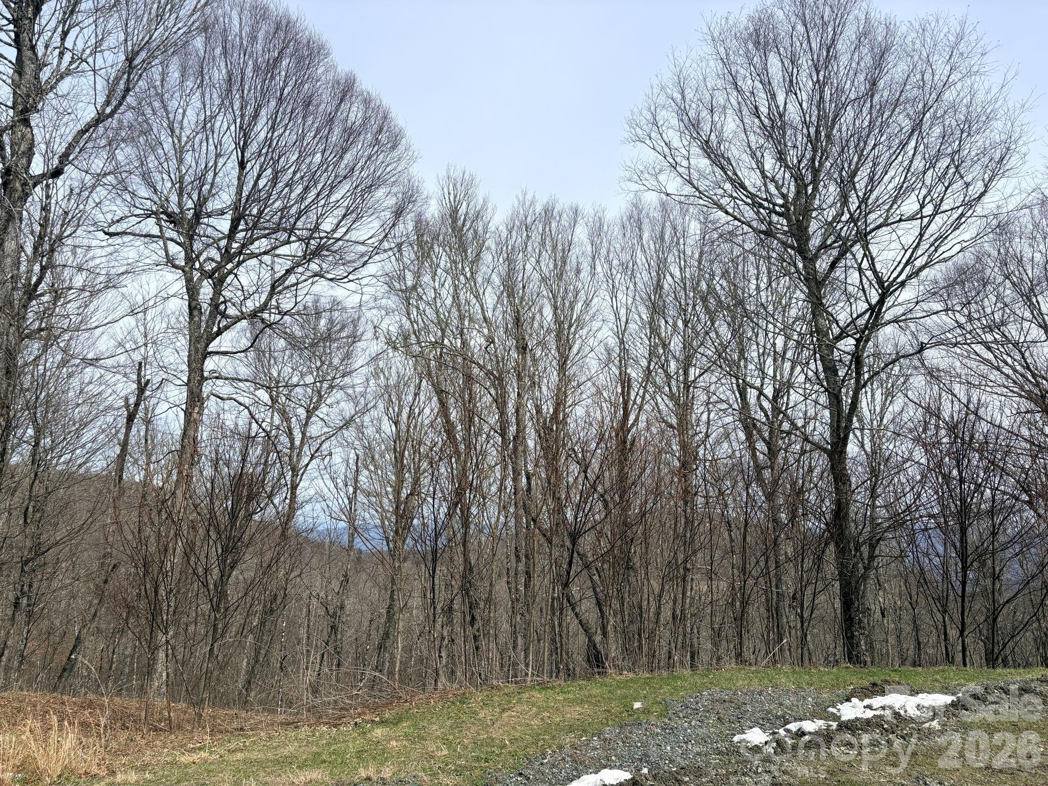 Chappell Farms - Land