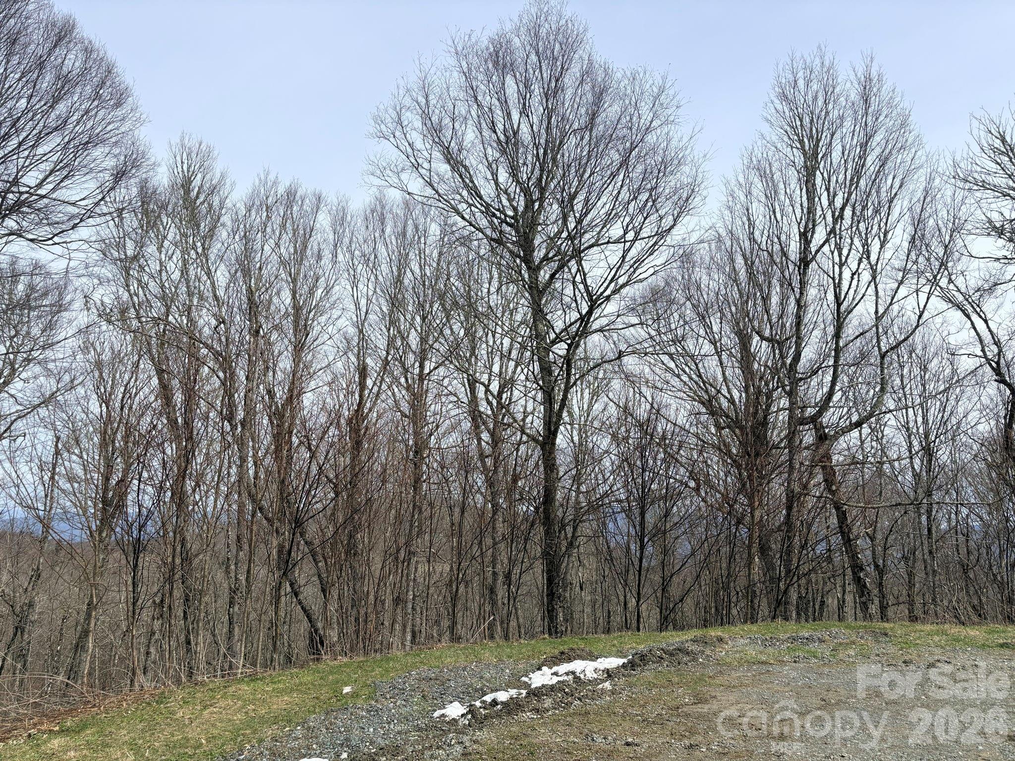 Chappell Farms - Land