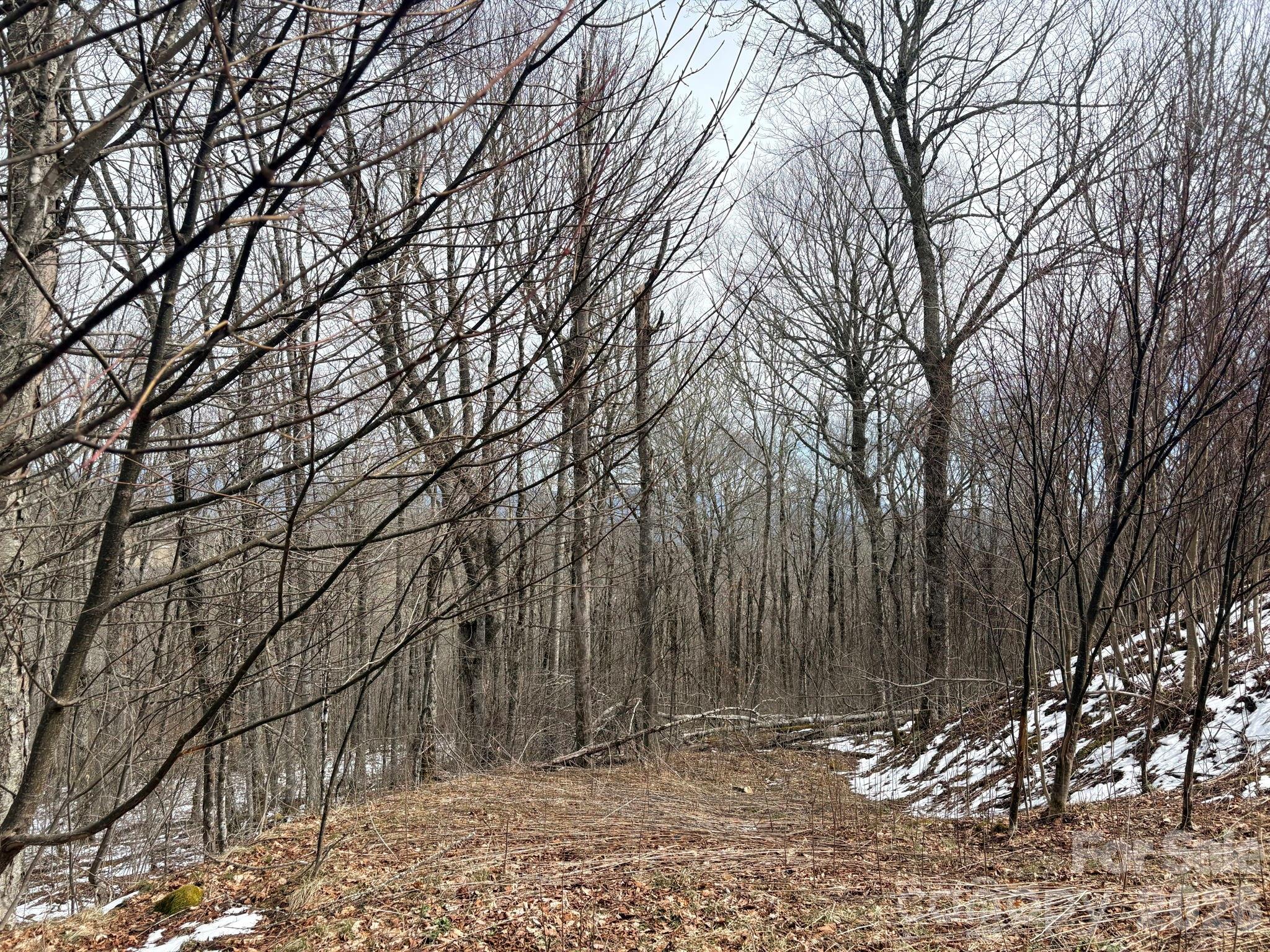 Lot 5 Chappell Farm North None N