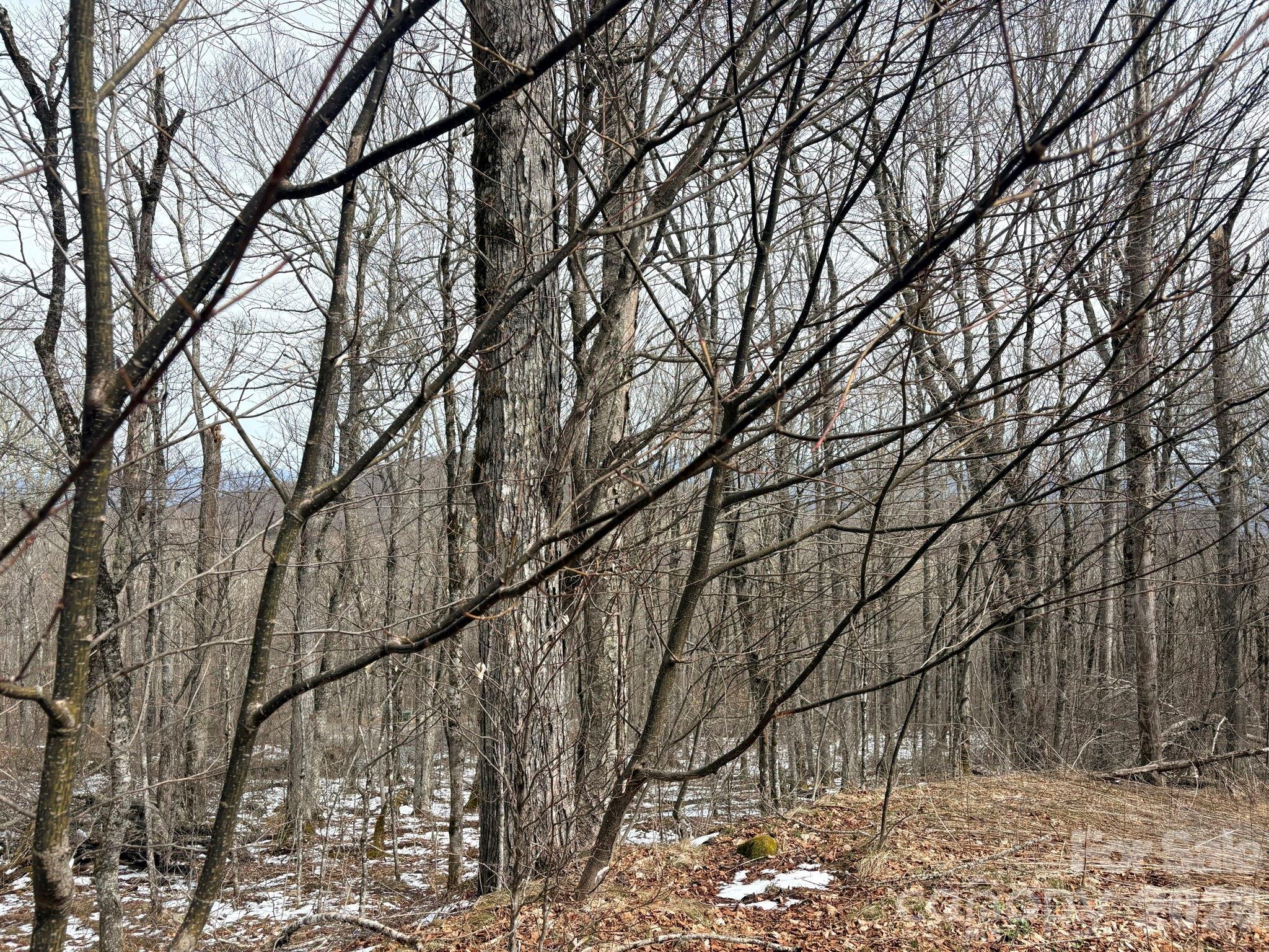 Chappell Farms - Land