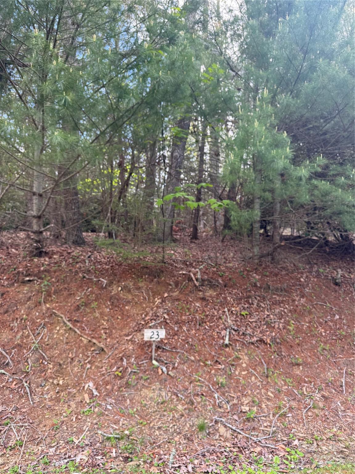 TBD Black Bear Trail 23