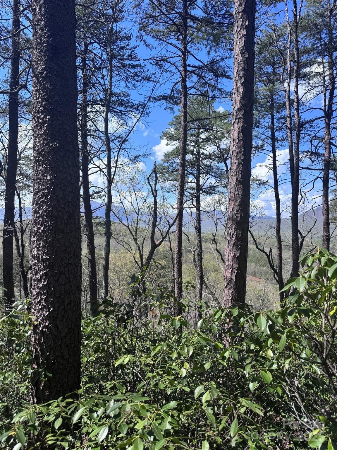 Vista At Bills Mountain - Land
