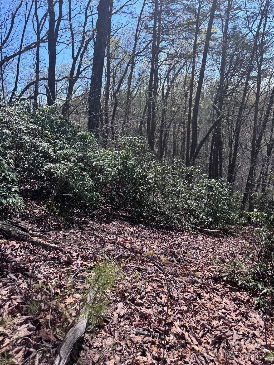 Vista At Bills Mountain - Land