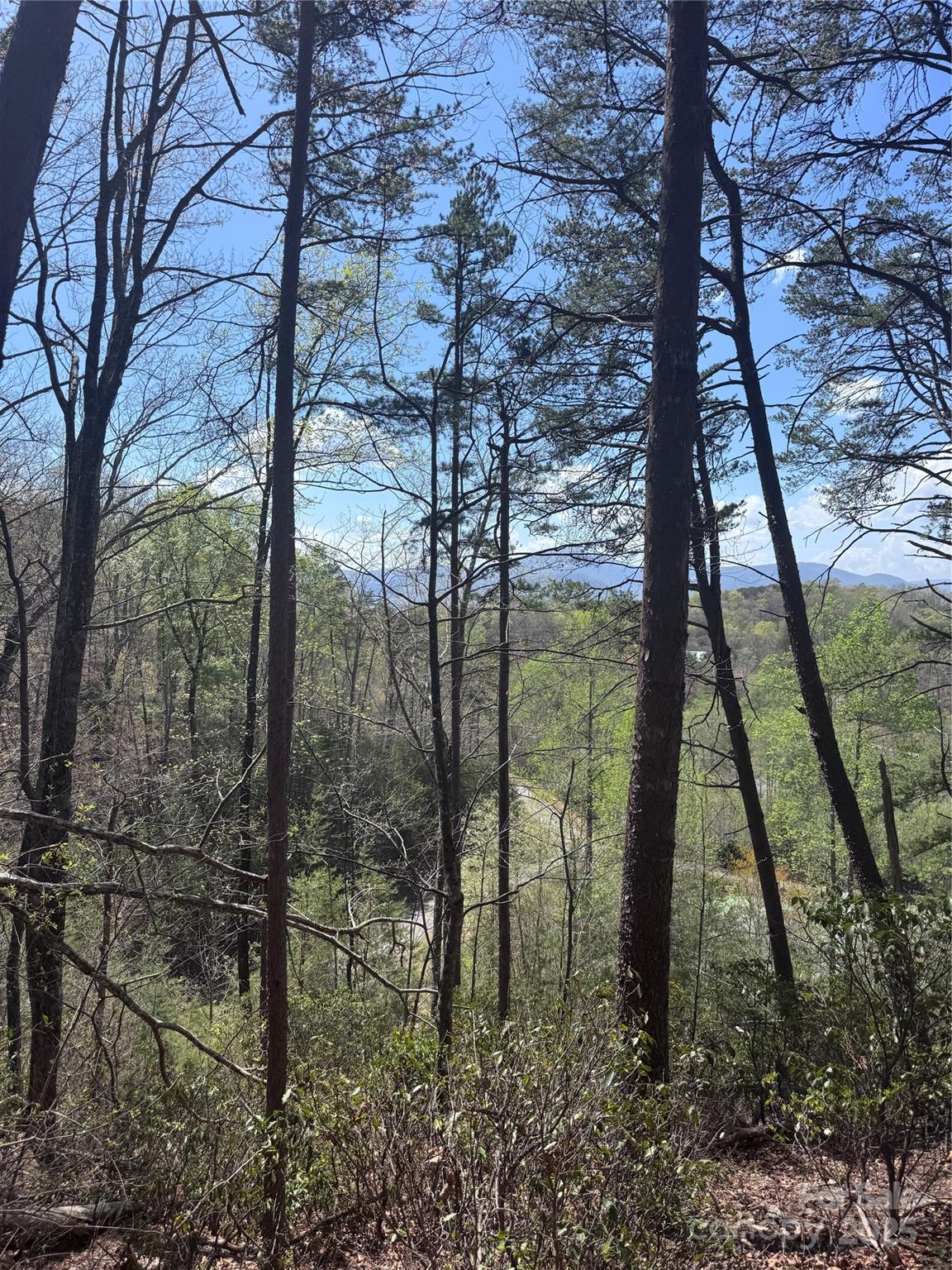 Vista At Bills Mountain - Land
