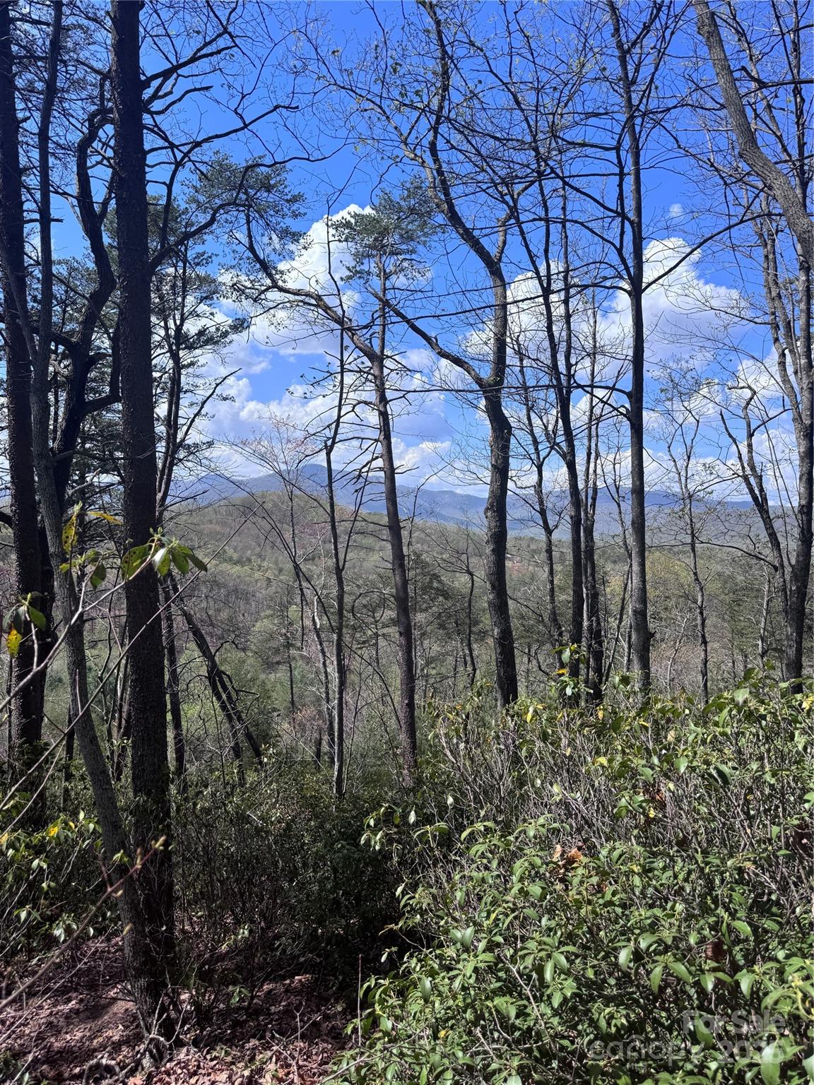 Vista At Bills Mountain - Land