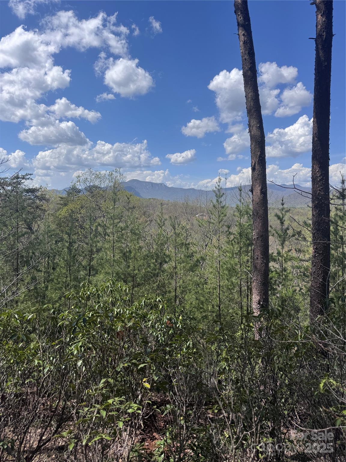 Vista At Bills Mountain - Land
