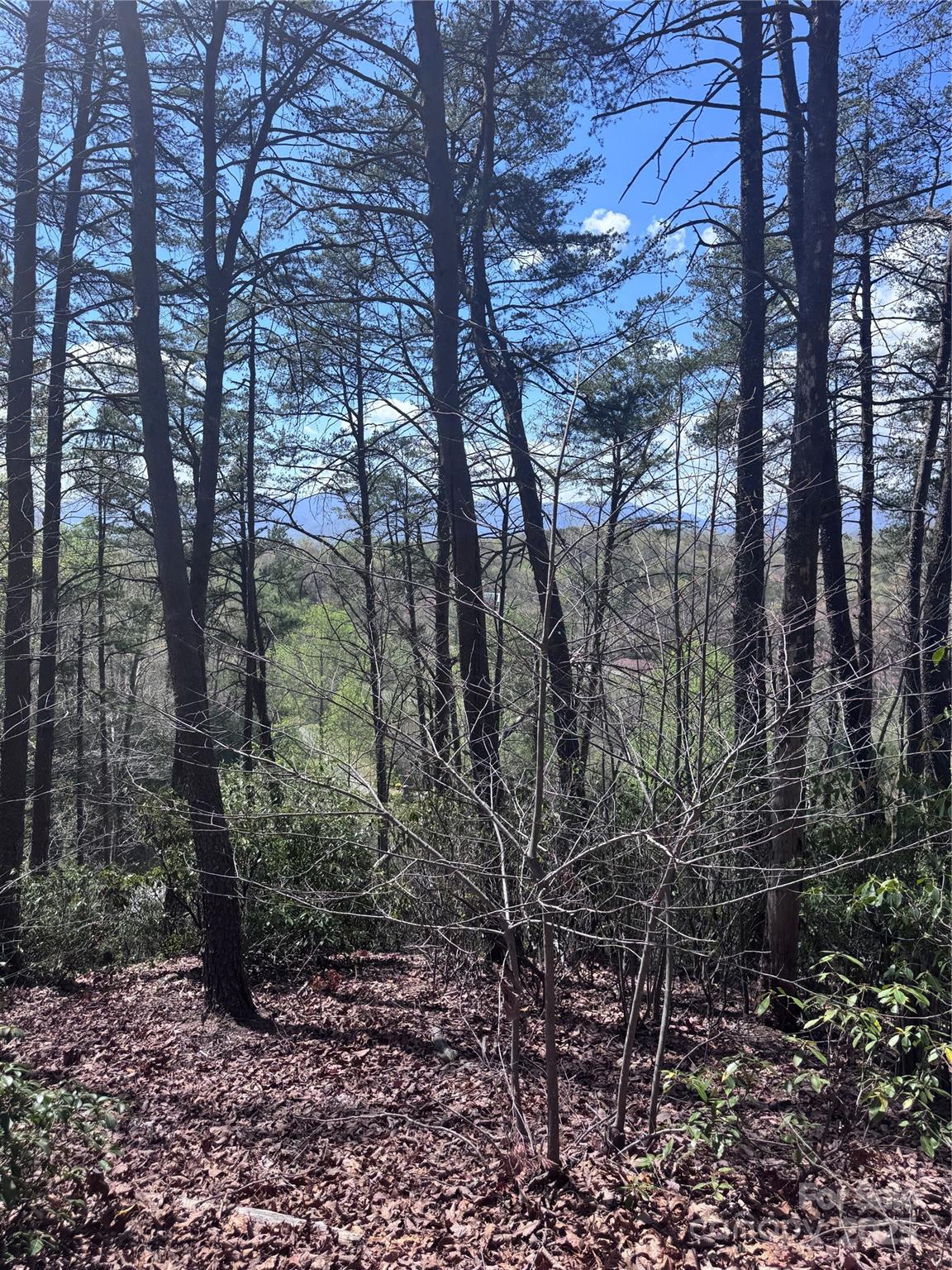 Vista At Bills Mountain - Land