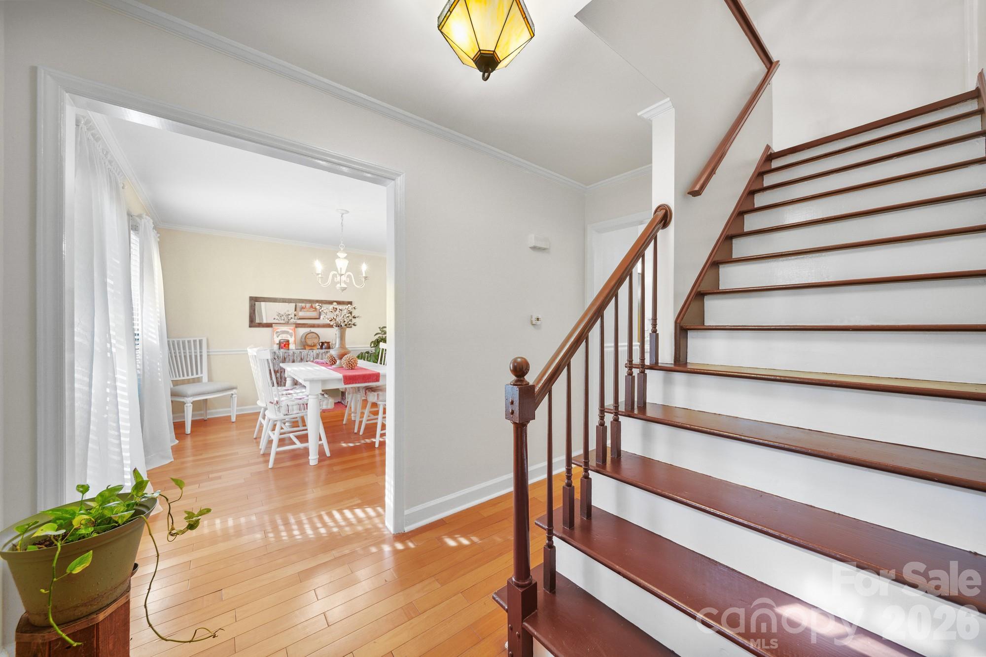 Steeplechase - Residential