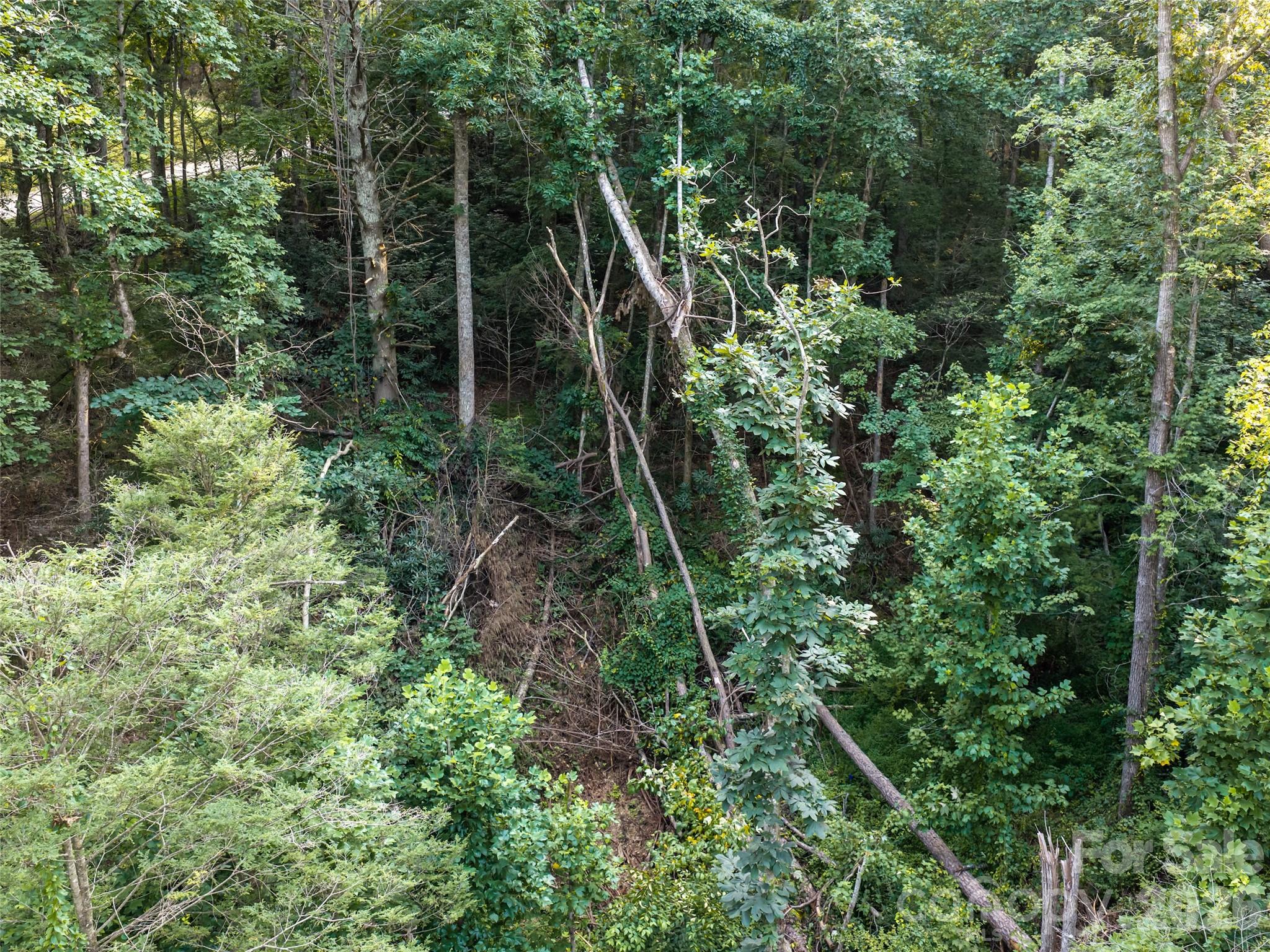 45 Jake Ridge Trail