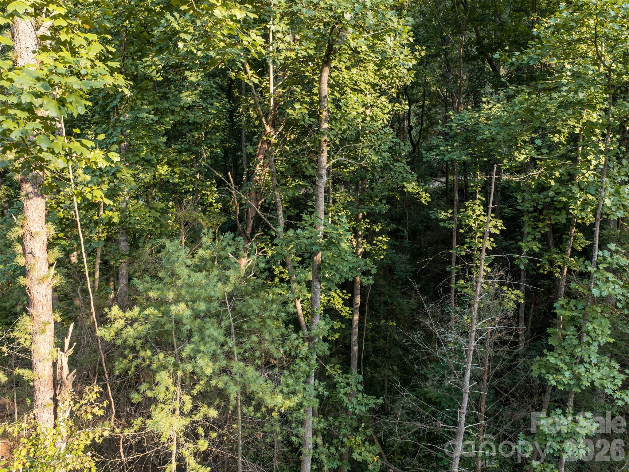 45 Jake Ridge Trail