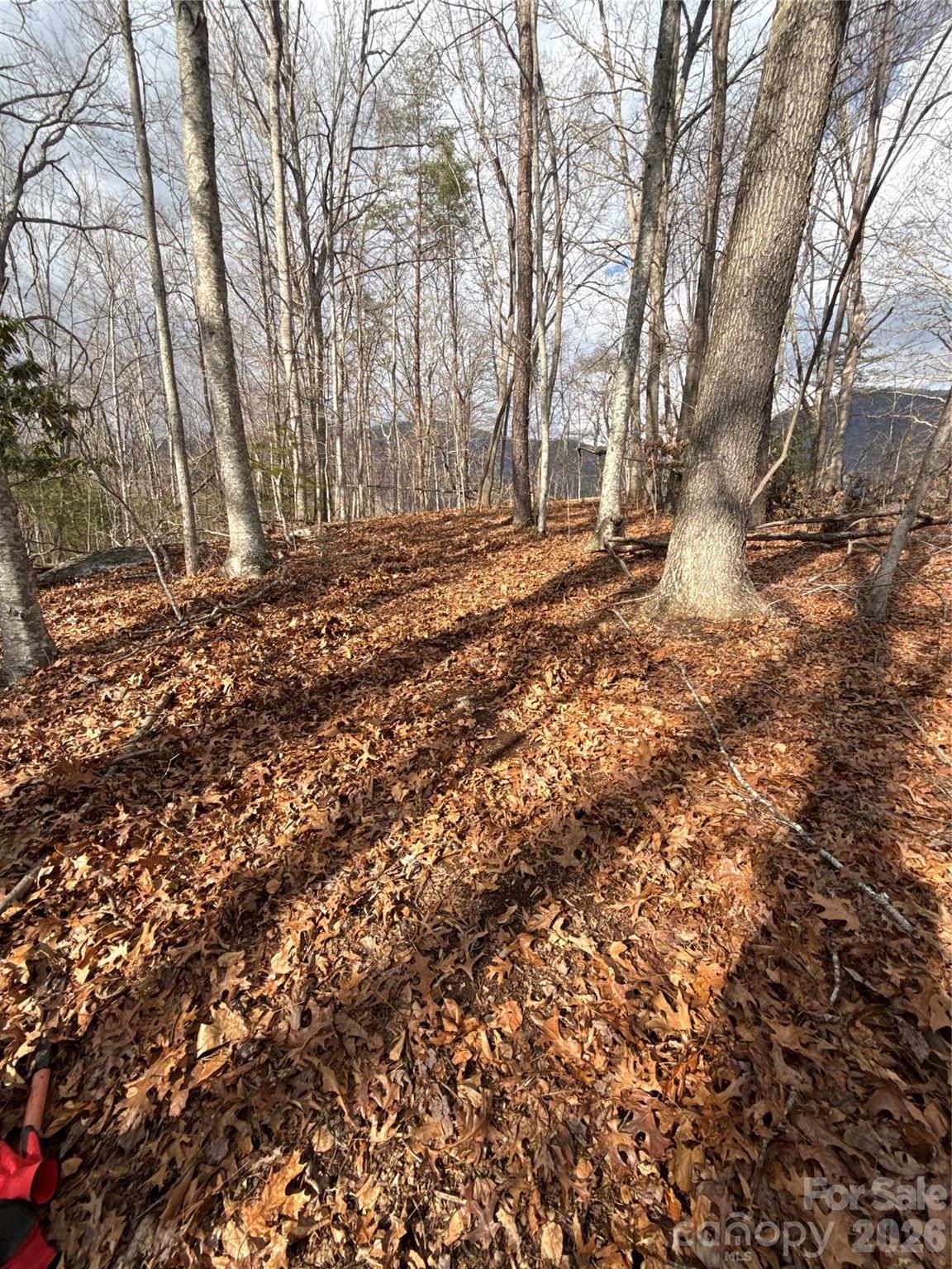 00000 Worley Cove Road