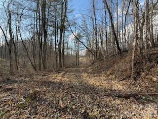 00000 Worley Cove Road