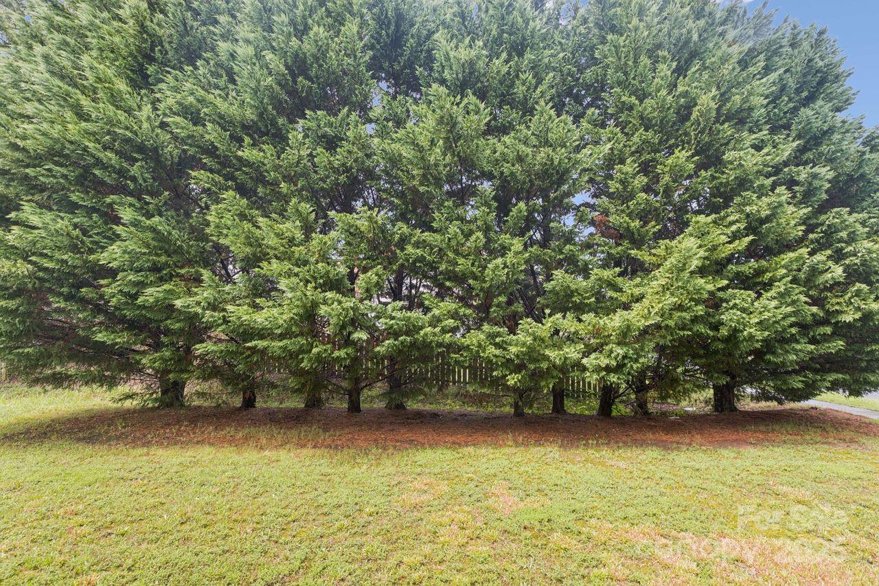 Planters Walk - Residential