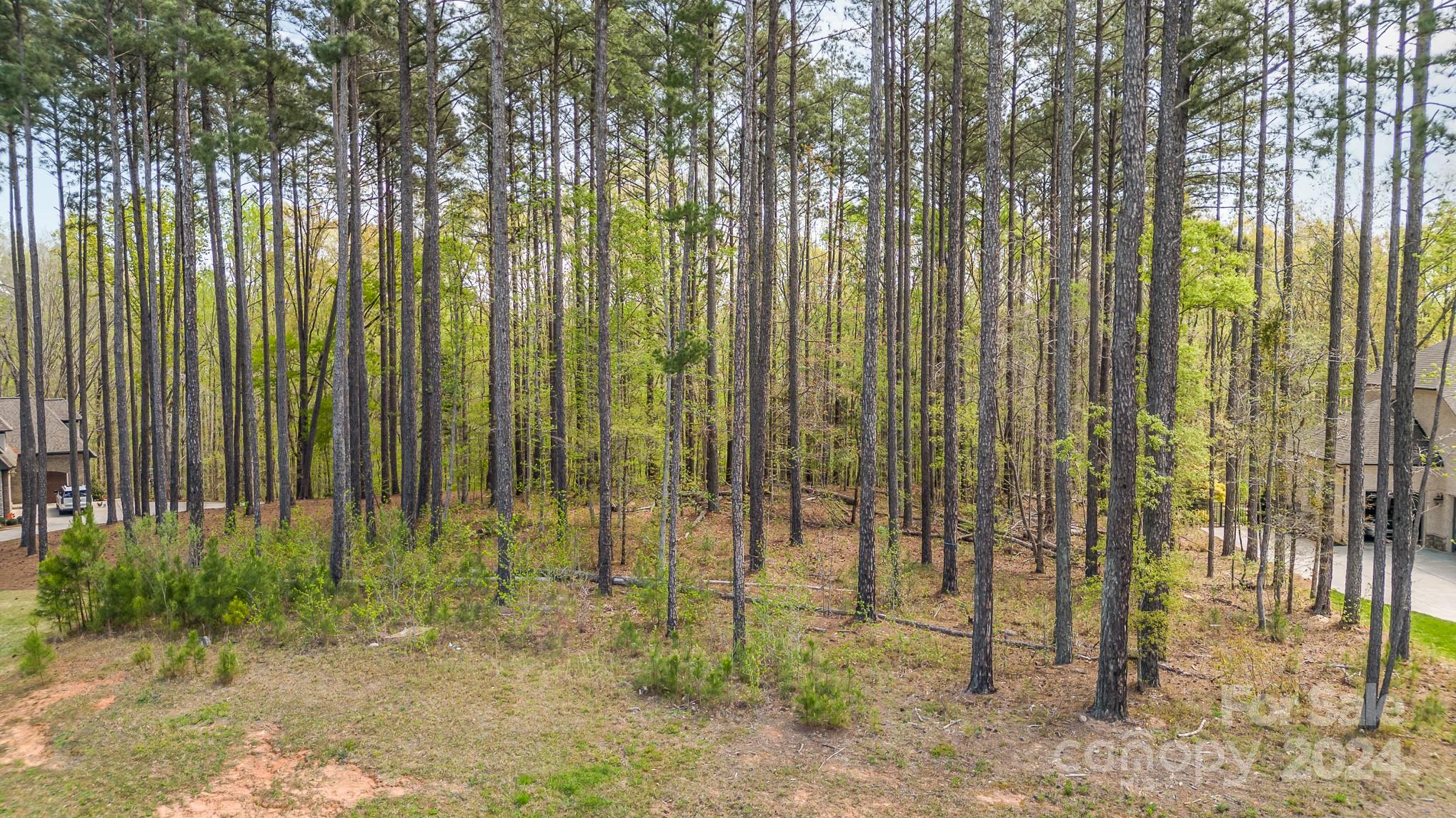 Trinity Ridge - Land