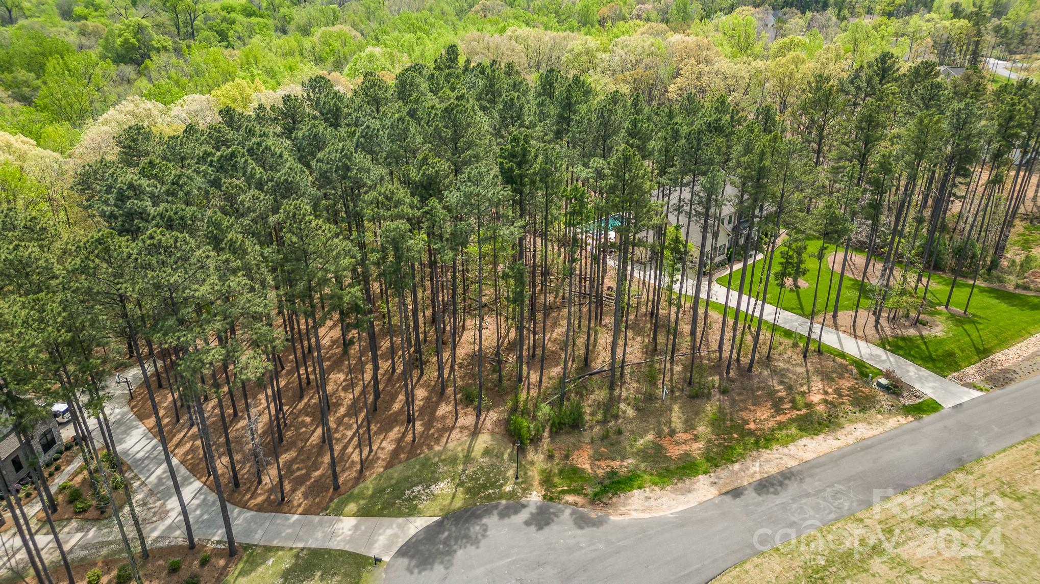 Trinity Ridge - Land