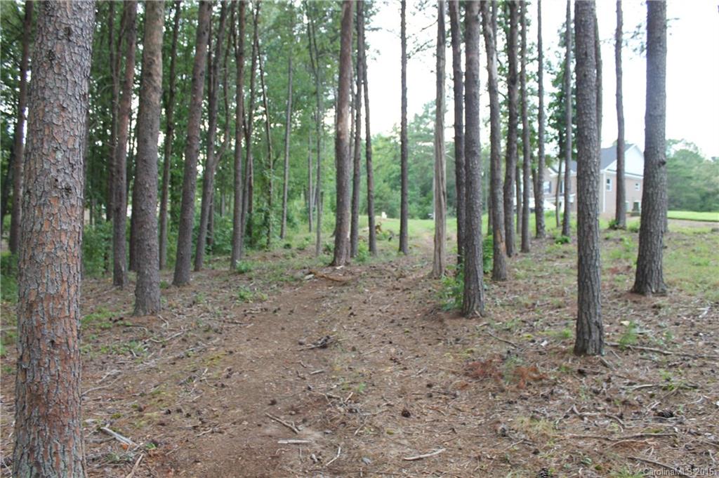 Handsmill On Lake Wylie - Land