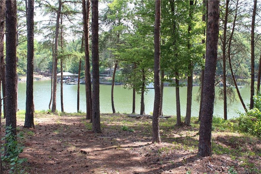 REDUCED! LAKE LIVING AT IT'S FINEST! Dockable Waterfront lot in the Desirable community of Handsmill on Lake Wylie. Feel like you are on vacation every day with this Gated community offering State of the Art Clubhouse, Pool, Playground, Fitness Center and Outdoor Fireplace.  This lot is one of a kind, located in Quiet, Peaceful cul-de-sac with a very gentle slope, so easy to grade for your Beautiful Home on the Lake. Clover High School district. Close to Excellent Shopping and Dining.