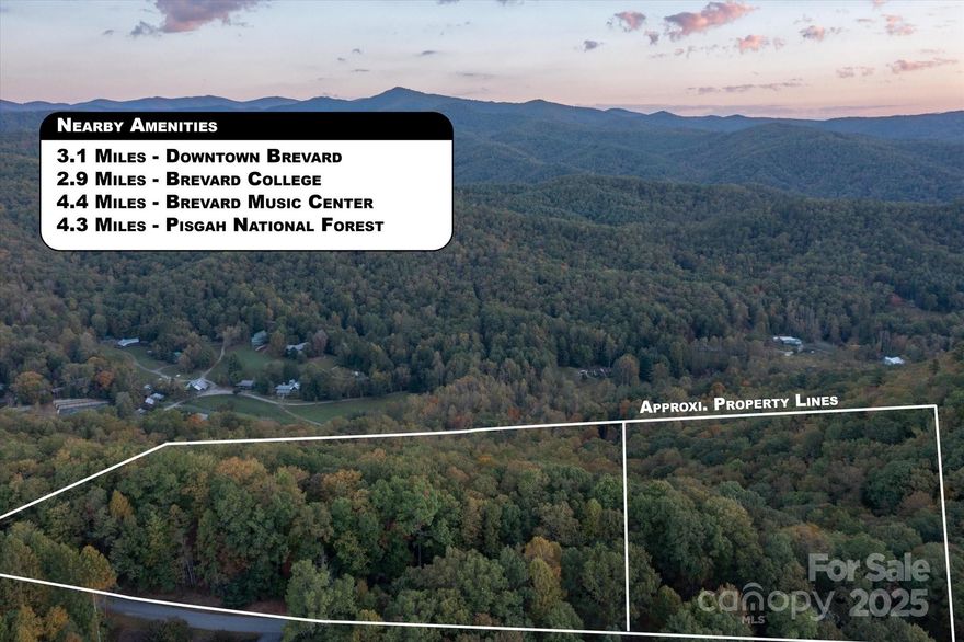 Located in beautiful Straus Park, these two adjacent wooded homesites—totaling approximately 2.5 acres—offer the perfect blend of natural serenity and in-town convenience. One lot adjoins a designated greenspace and neighborhood trail, providing an added sense of privacy and connection to nature. Enjoy paved City streets, underground utilities, and easy access to Brevard’s shopping, dining, medical offices, and hospital. Straus Park sits just across from the popular hike and bike path and features exceptional amenities including a clubhouse, swimming pool, six-acre lake for non-motorized boating, tennis and pickleball courts, community garden, walking trails, and a spacious meadow for residents’ enjoyment.