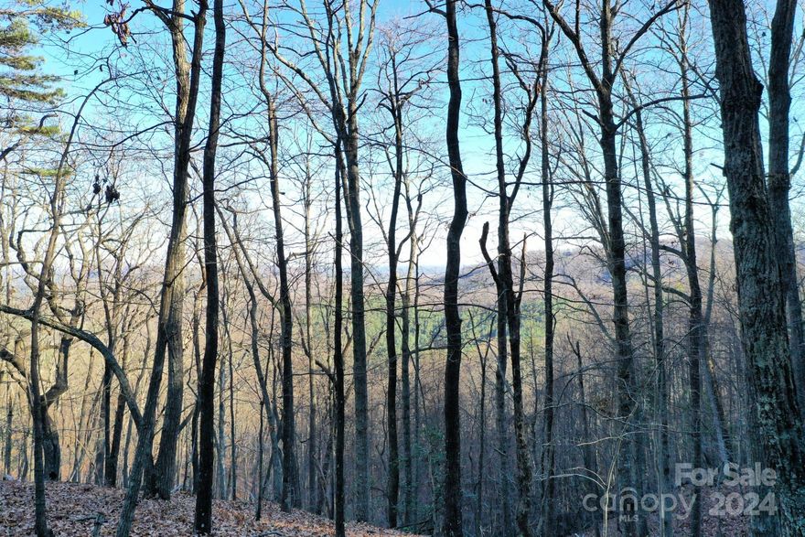 Follow the Yellow Brick Road to Golden Valley in Rutherford County, NC. You may find gold here- well, at least a Golden Life. Situated not too far from everything (Charlotte, Hickory, Asheville, Greenville SC, and Major Tourism Spots), you can still lead a peaceful life here. This area is steeped in the history of Gold Discovery, South Mountains, Game Lands, and the French Broad River along with Moonshine Stories interwoven into the area's history. Jelly Stone Campground is nearby and the Tryon International Equestrian Center is within a short drive. All this, plus fabulous mountain views. In a gated community, This lot rolls down to a beautiful overlook to the east. Build your mountain dream home and enjoy everything Western North Carolina, the South Mountains, and the quaint foothill towns have to offer. Learn more about the area at https://www.visitncsmalltowns.com