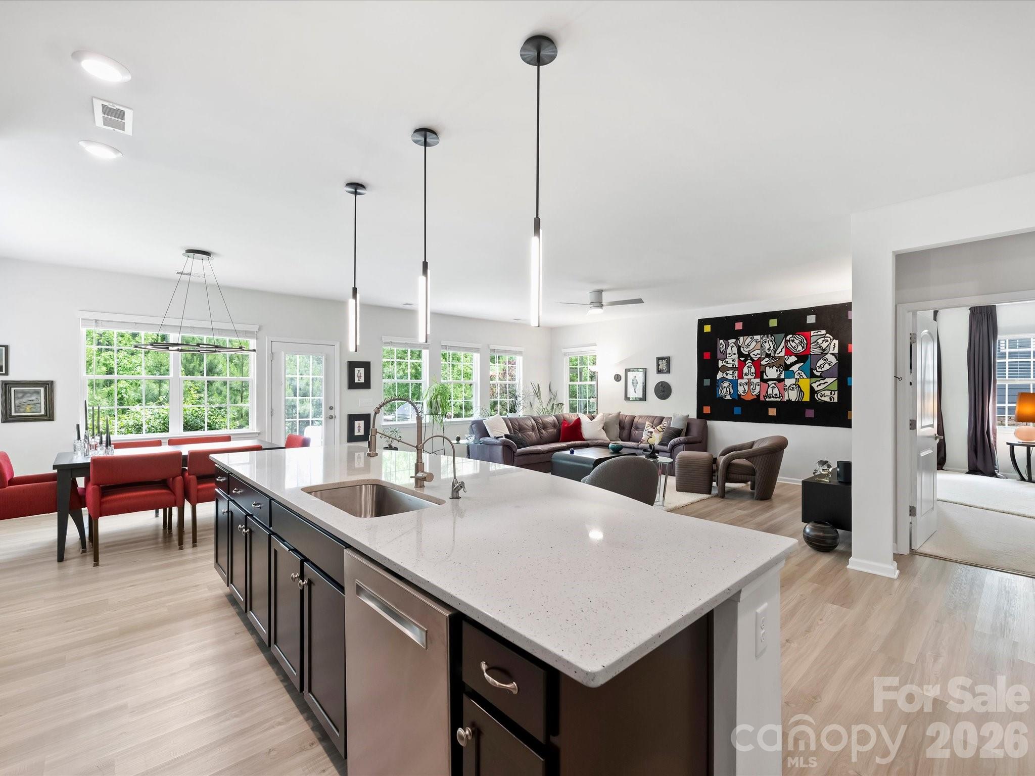 Imagery on Mtn Island - Residential