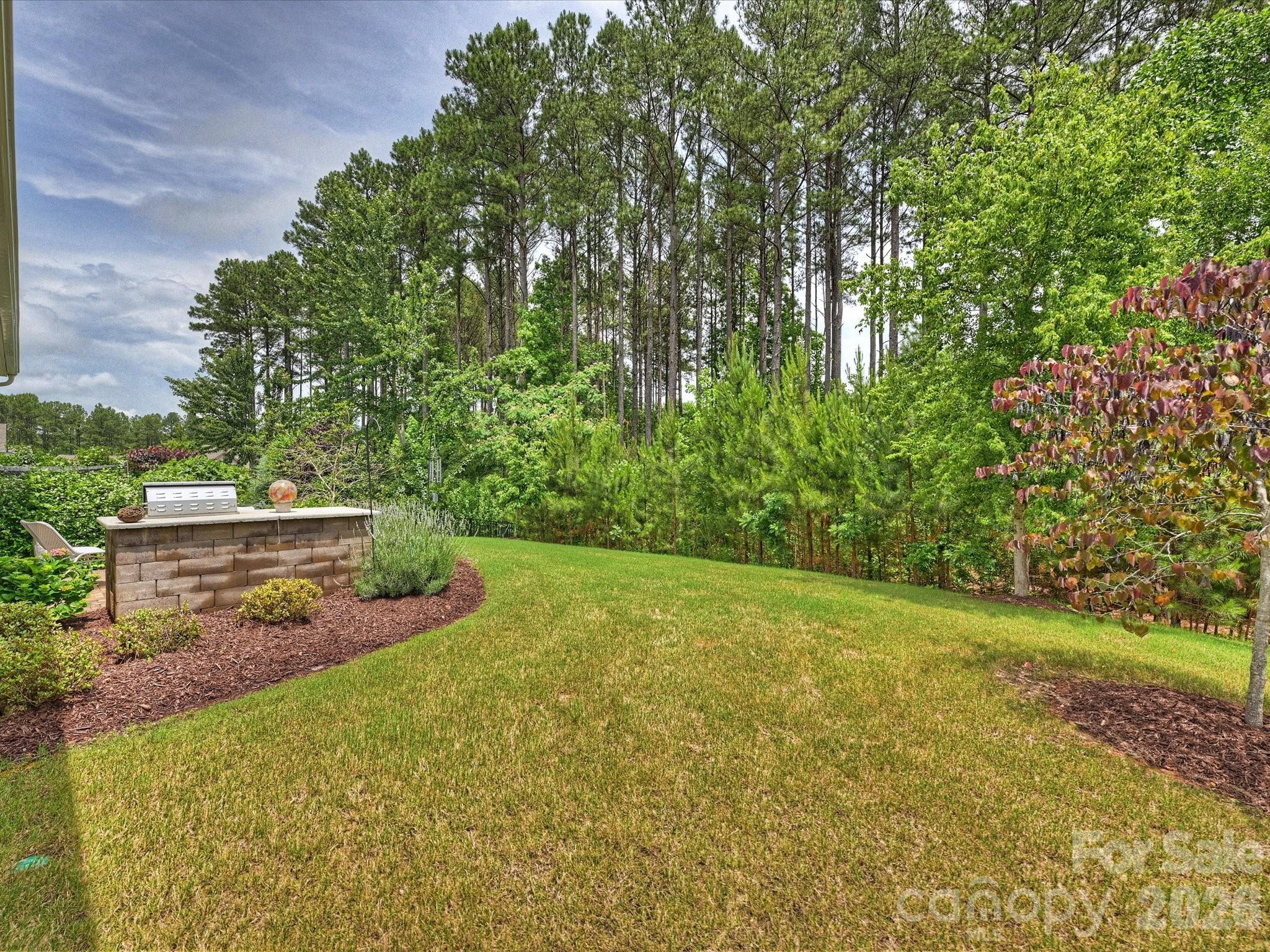 Imagery on Mtn Island - Residential