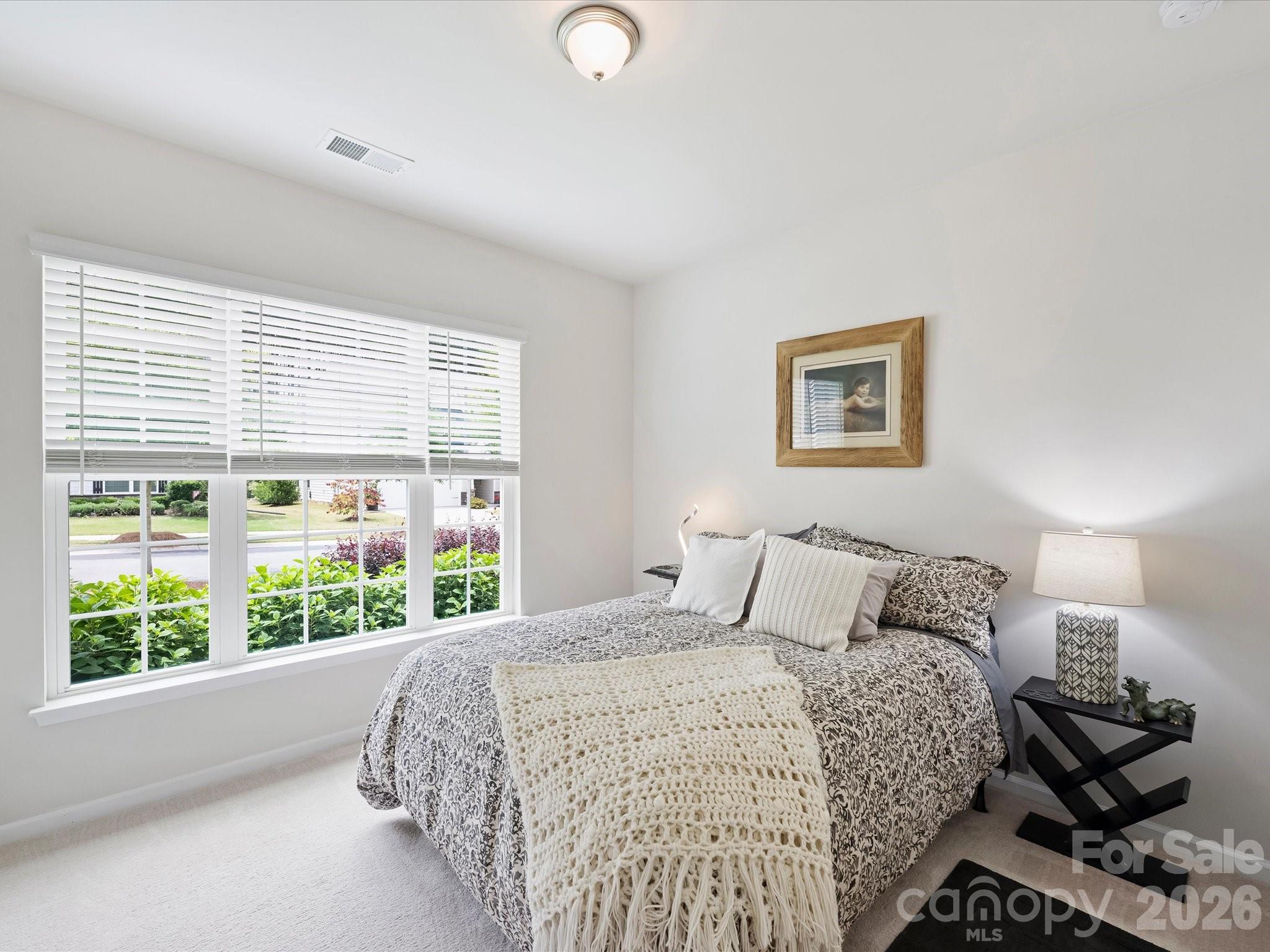 Imagery on Mtn Island - Residential