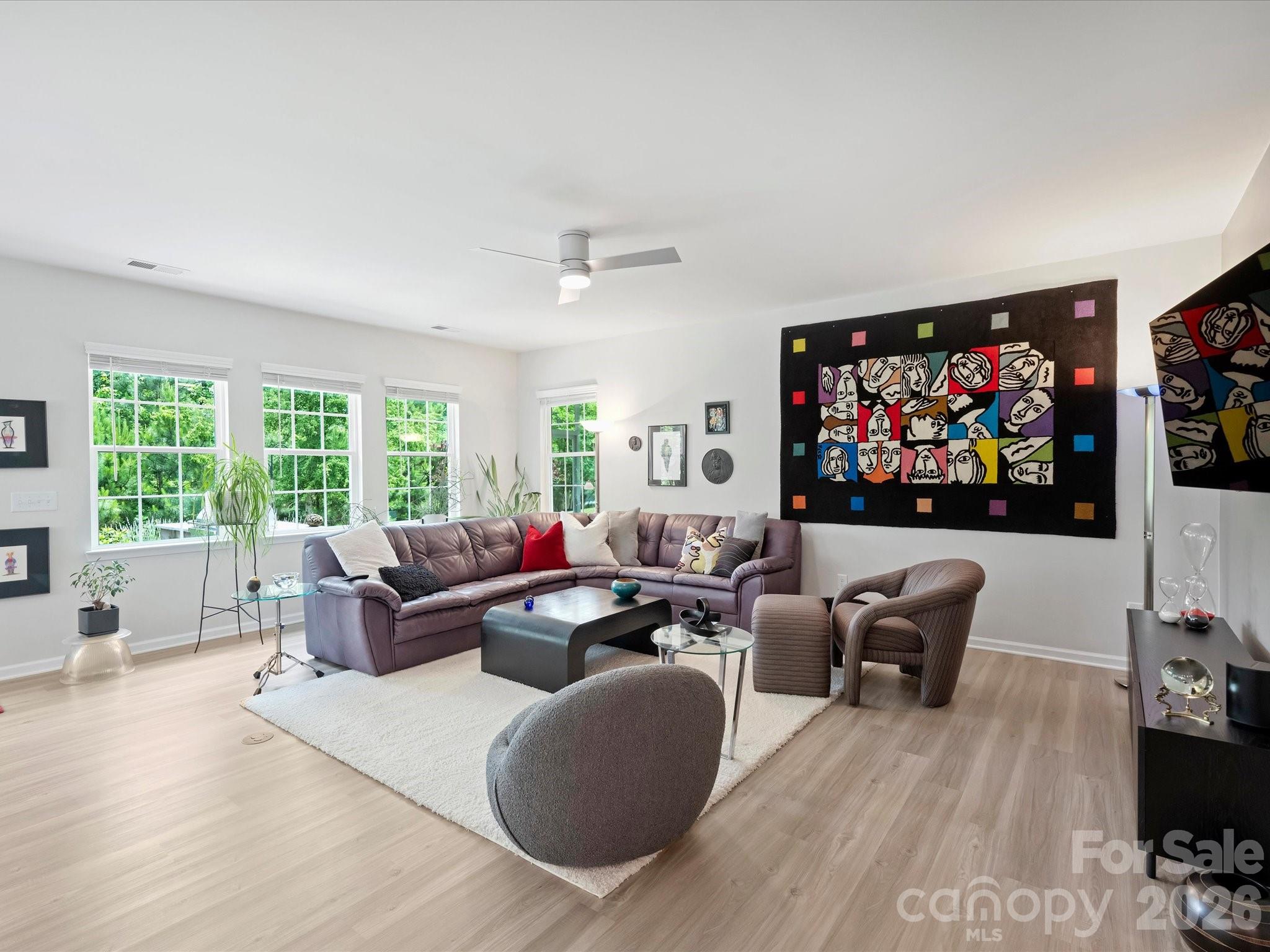 Imagery on Mtn Island - Residential