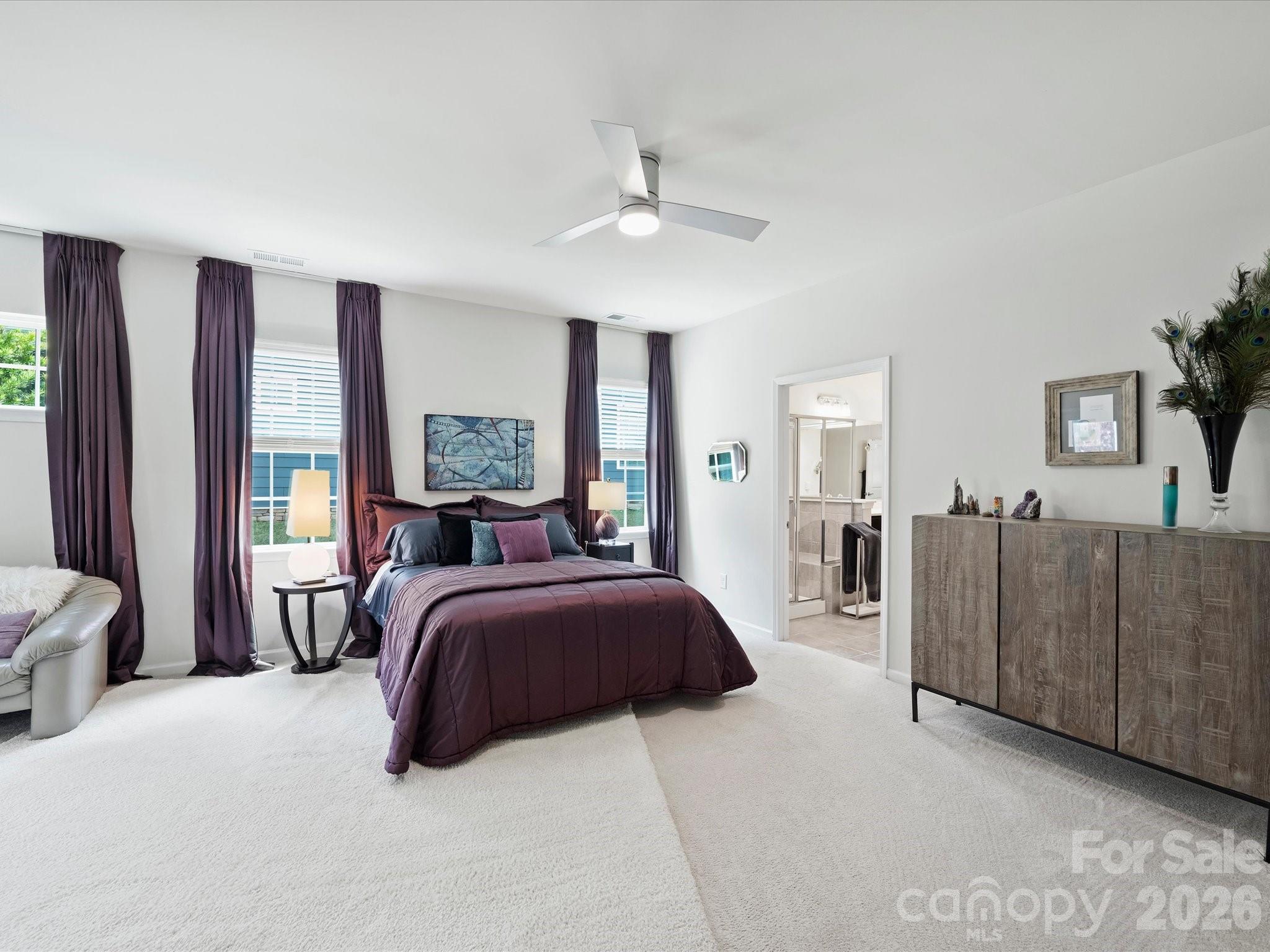 Imagery on Mtn Island - Residential