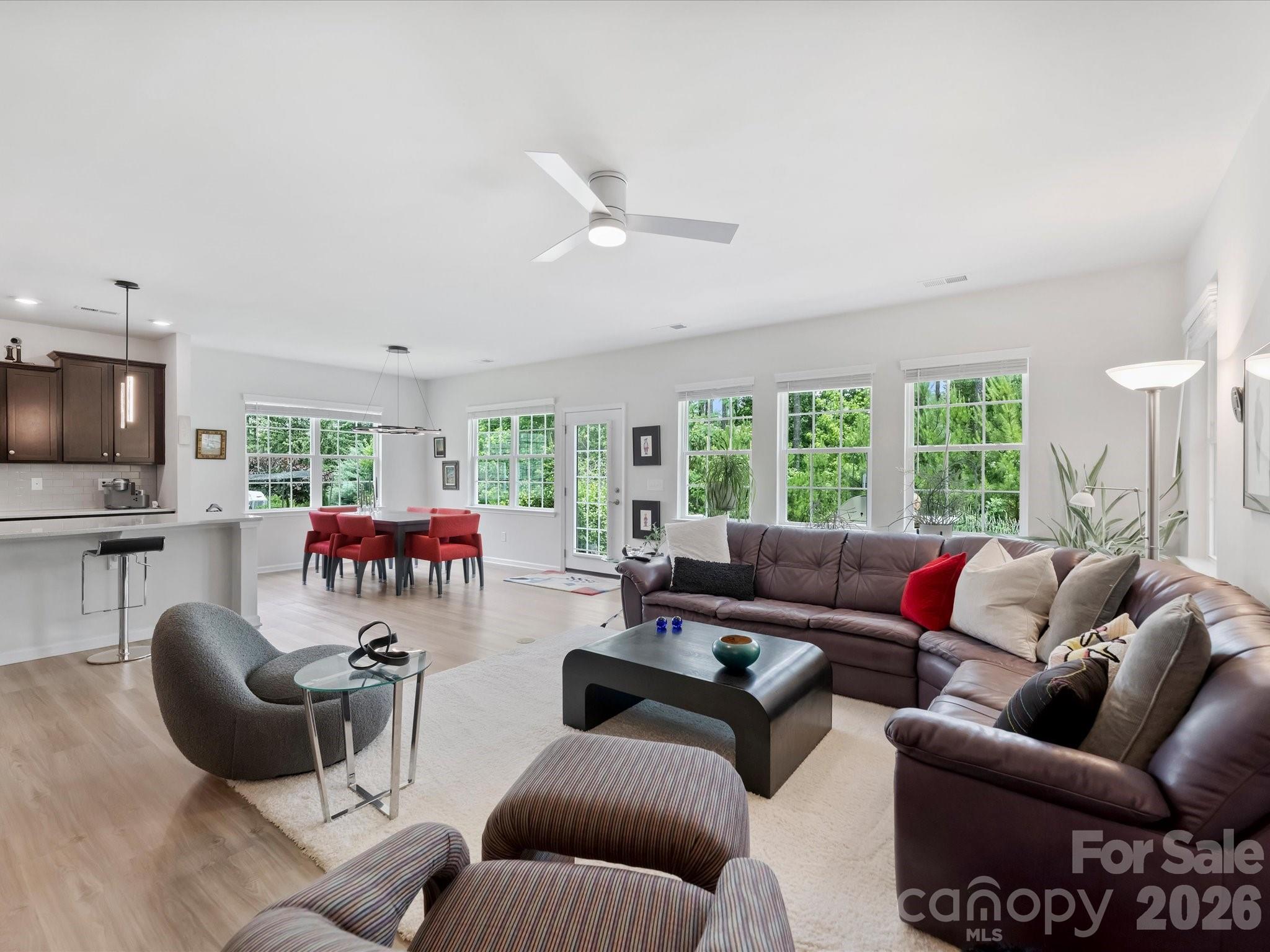 Imagery on Mtn Island - Residential