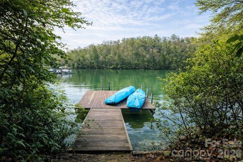 00 Lake Adger Parkway Lot 7 Mill Spring NC 28756