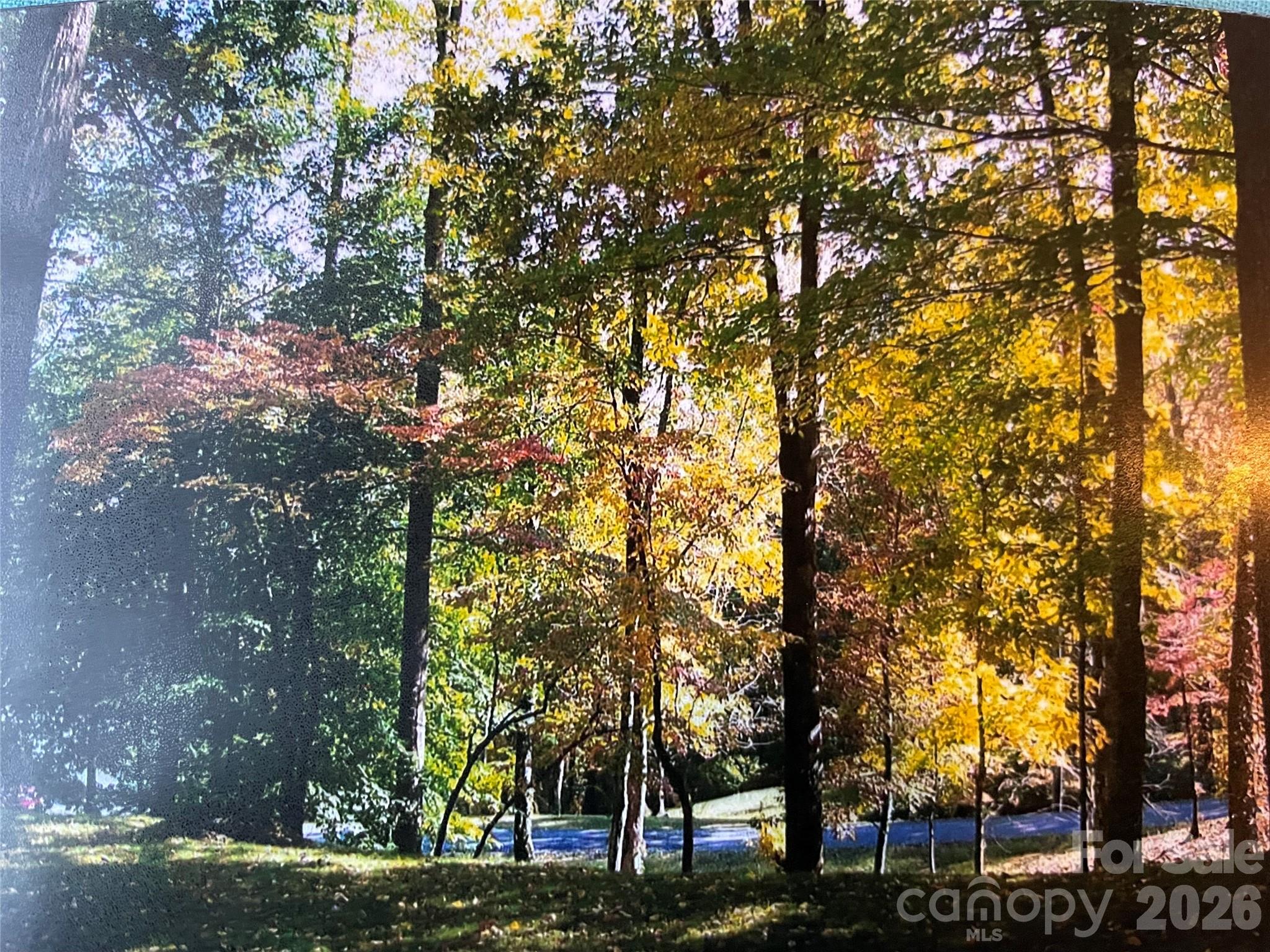 Country Place Of Waynesville - Residential