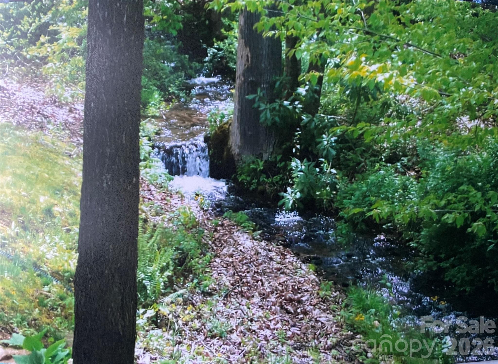 Country Place Of Waynesville - Residential