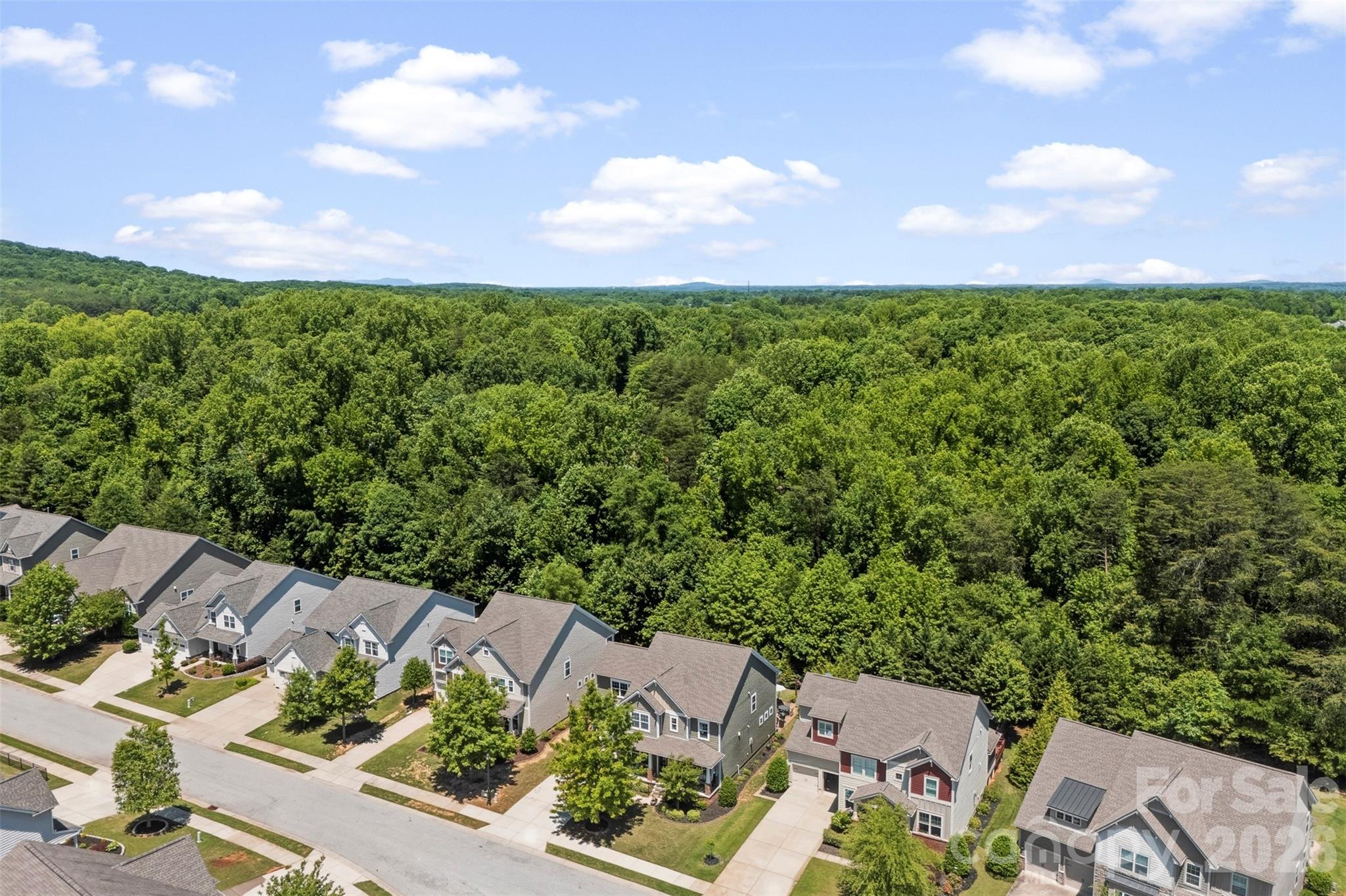 The Pinnacle At Handsmill - Residential