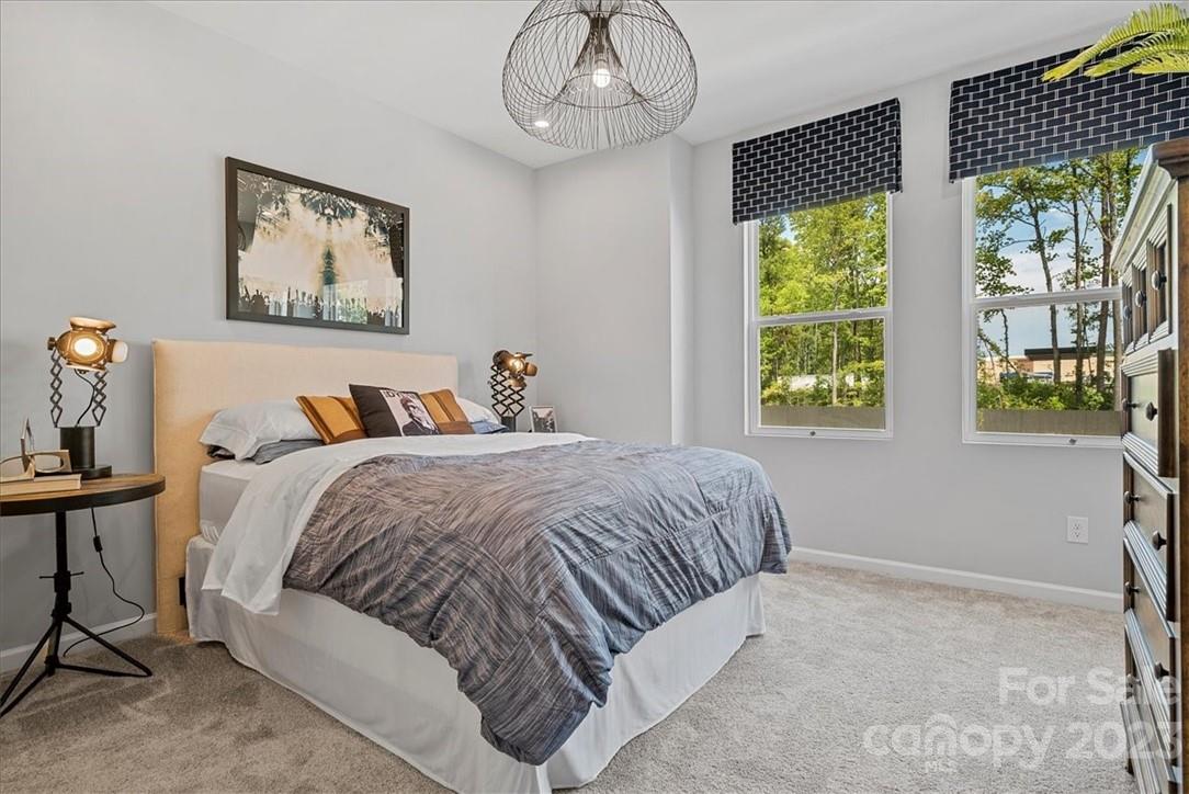 Fifteen 15 Cannon - Residential