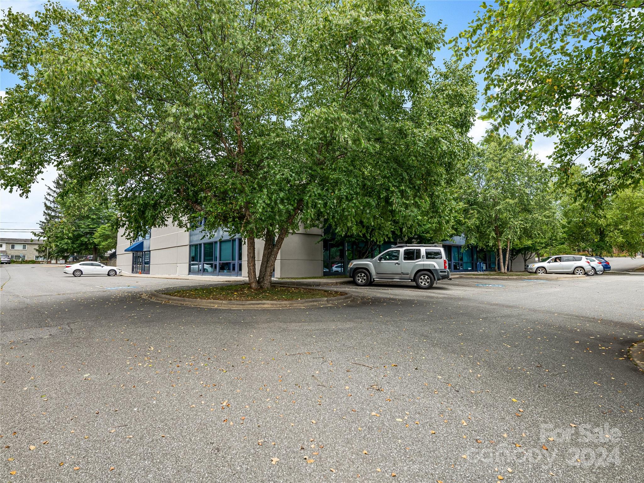 53 Asheland Avenue
