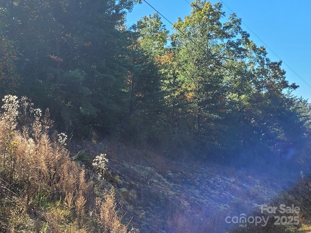 Linville Mountain Acres - Land