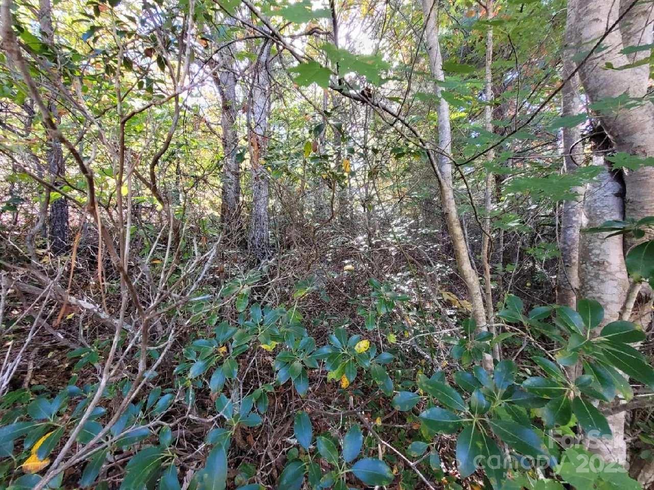 Linville Mountain Acres - Land