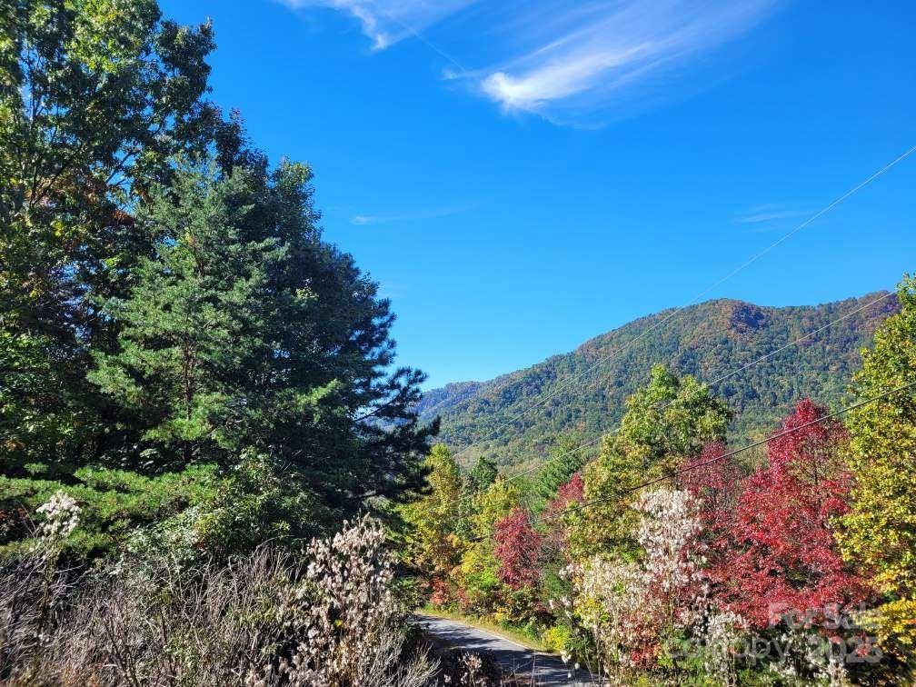 Linville Mountain Acres - Land