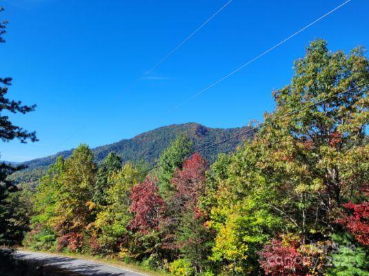 Linville Mountain Acres - Land