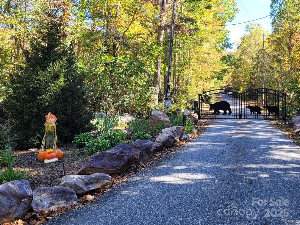 Linville Mountain Acres - Land