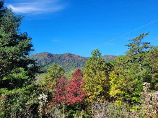 Linville Mountain Acres - Land