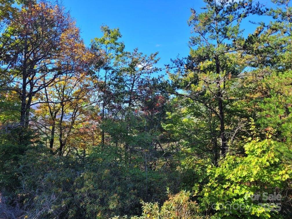 Linville Mountain Acres - Land