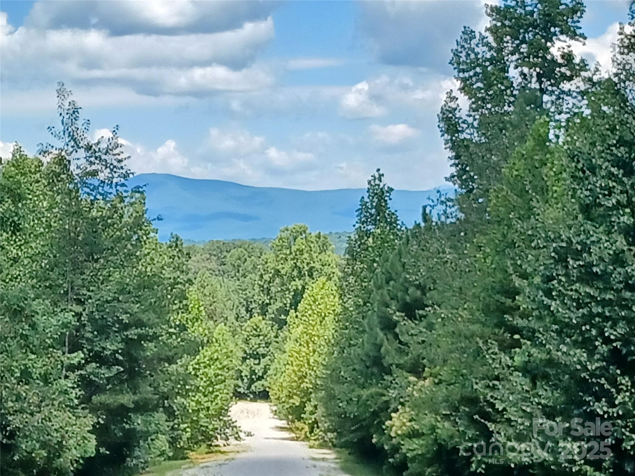 Blackberry Creek - Land